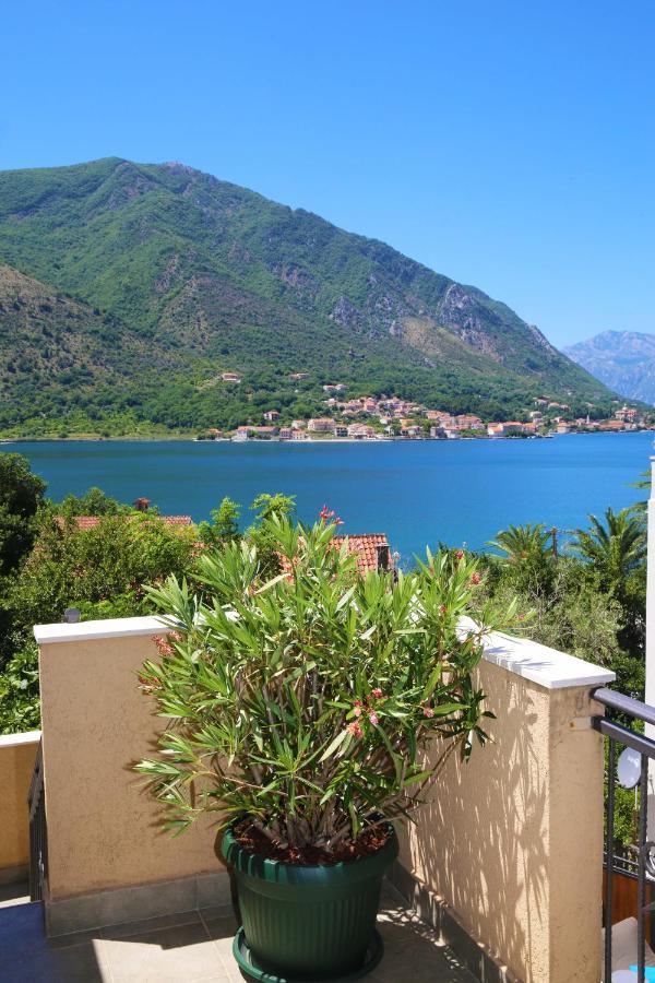 Jovanovic Appartement Kotor