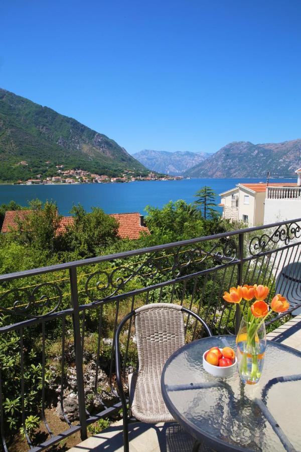 Jovanovic Kotor