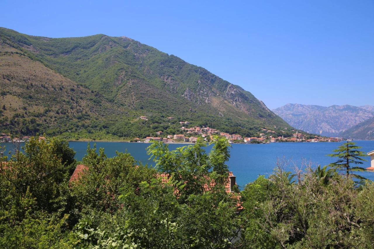 Appartement Jovanovic Kotor
