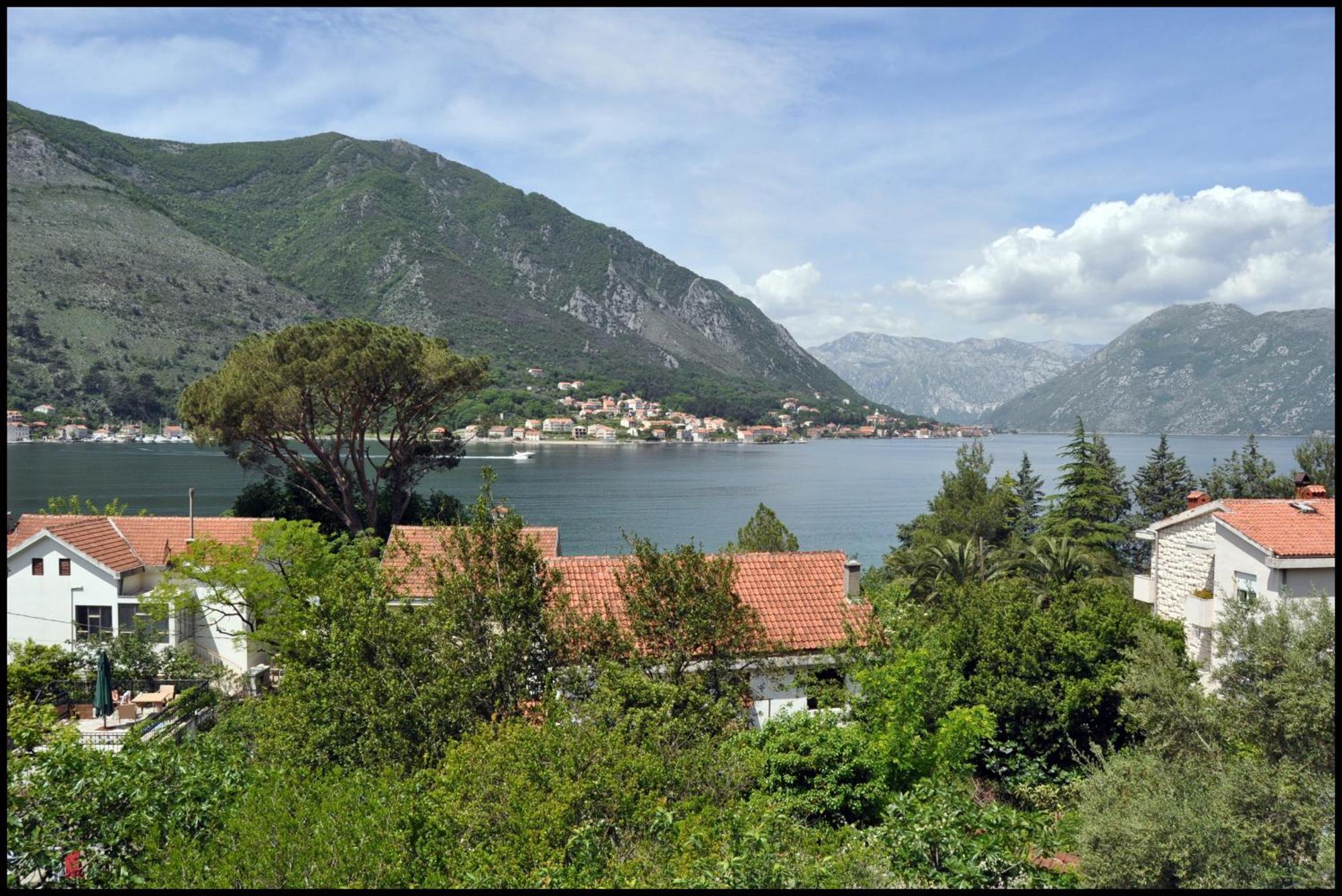 Jovanovic * Kotor